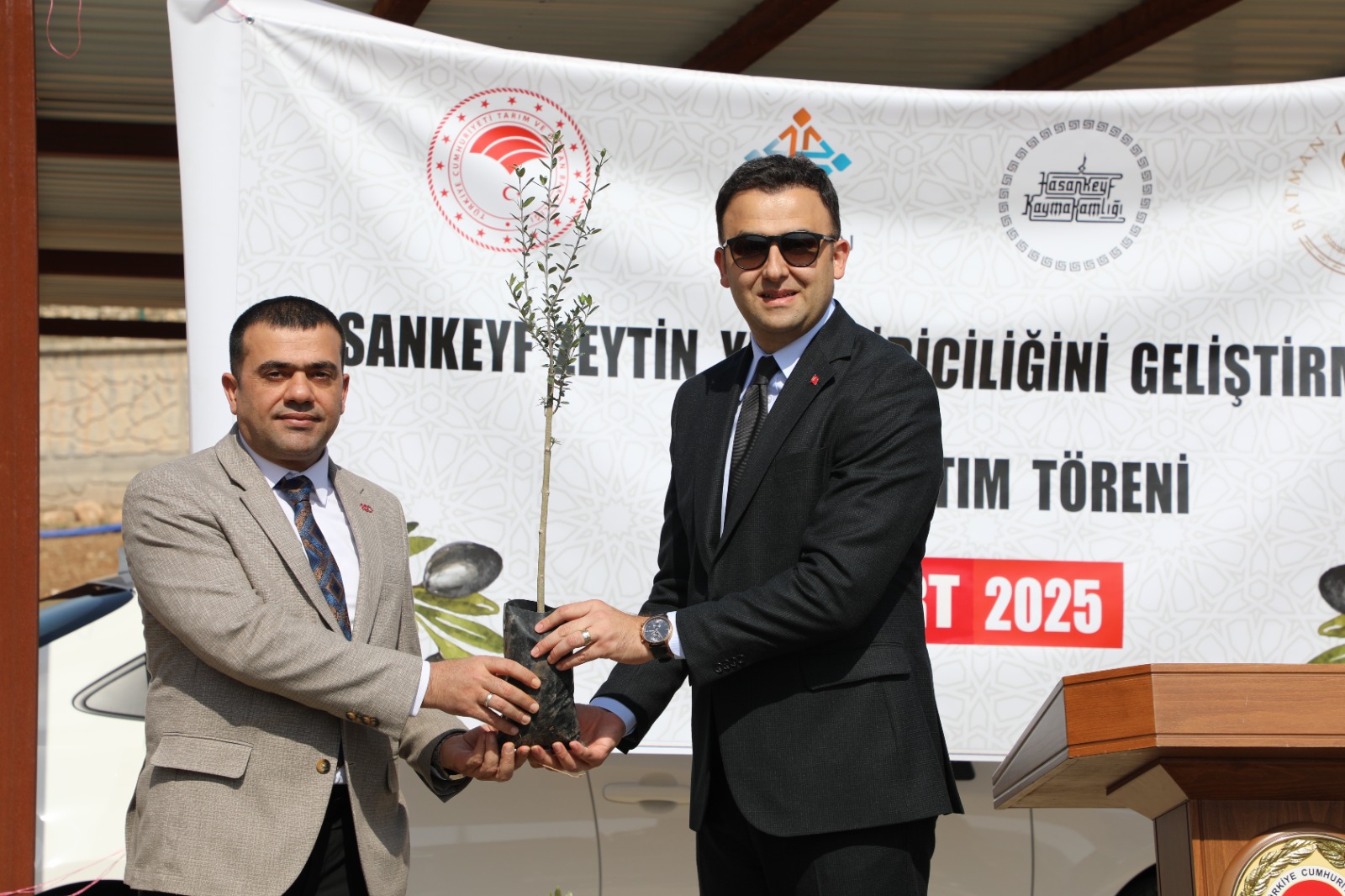 5 Bin zeytin fidanı daha dağıtıldı