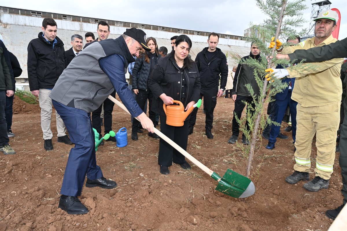 Binlerce fidan toprakla buluşturuldu