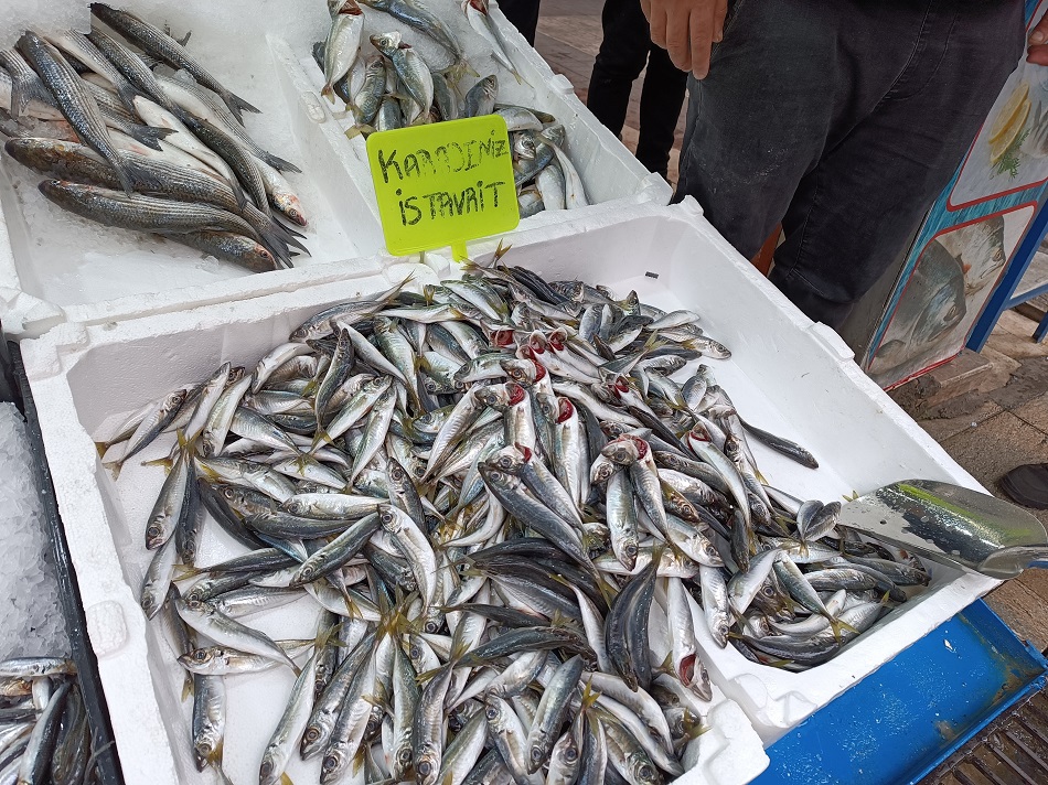 Et fiyatlarındaki artış balığa talebi artırdı