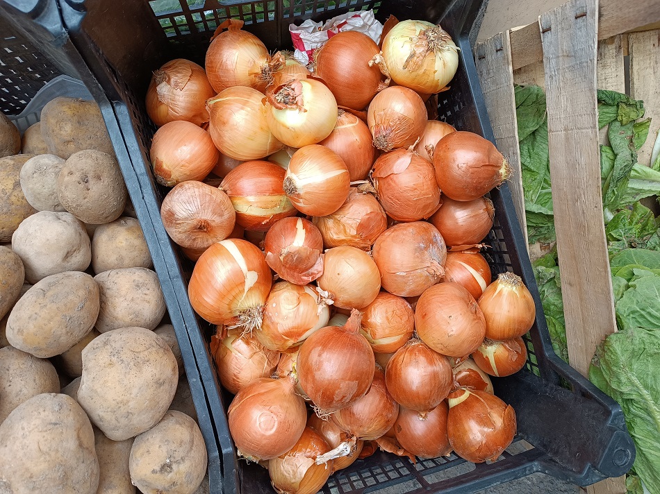 Kuru soğana şok zam!