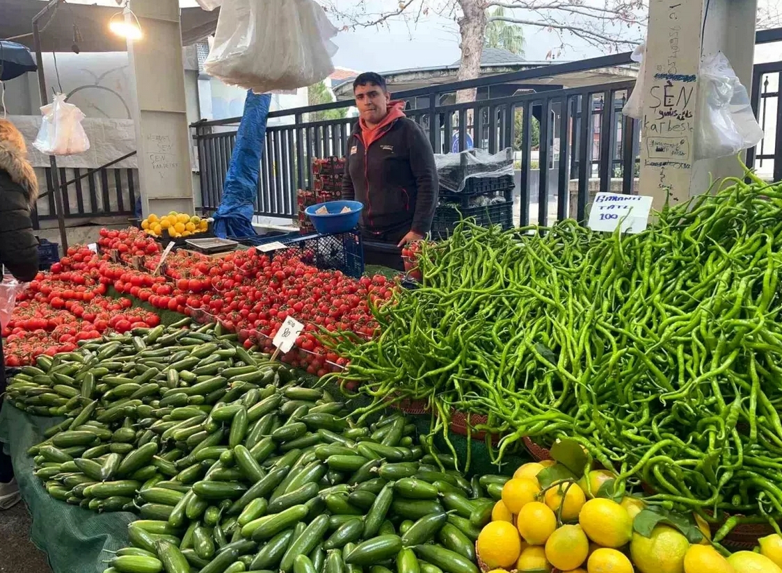 Salatalık fiyatlarında rekor artış