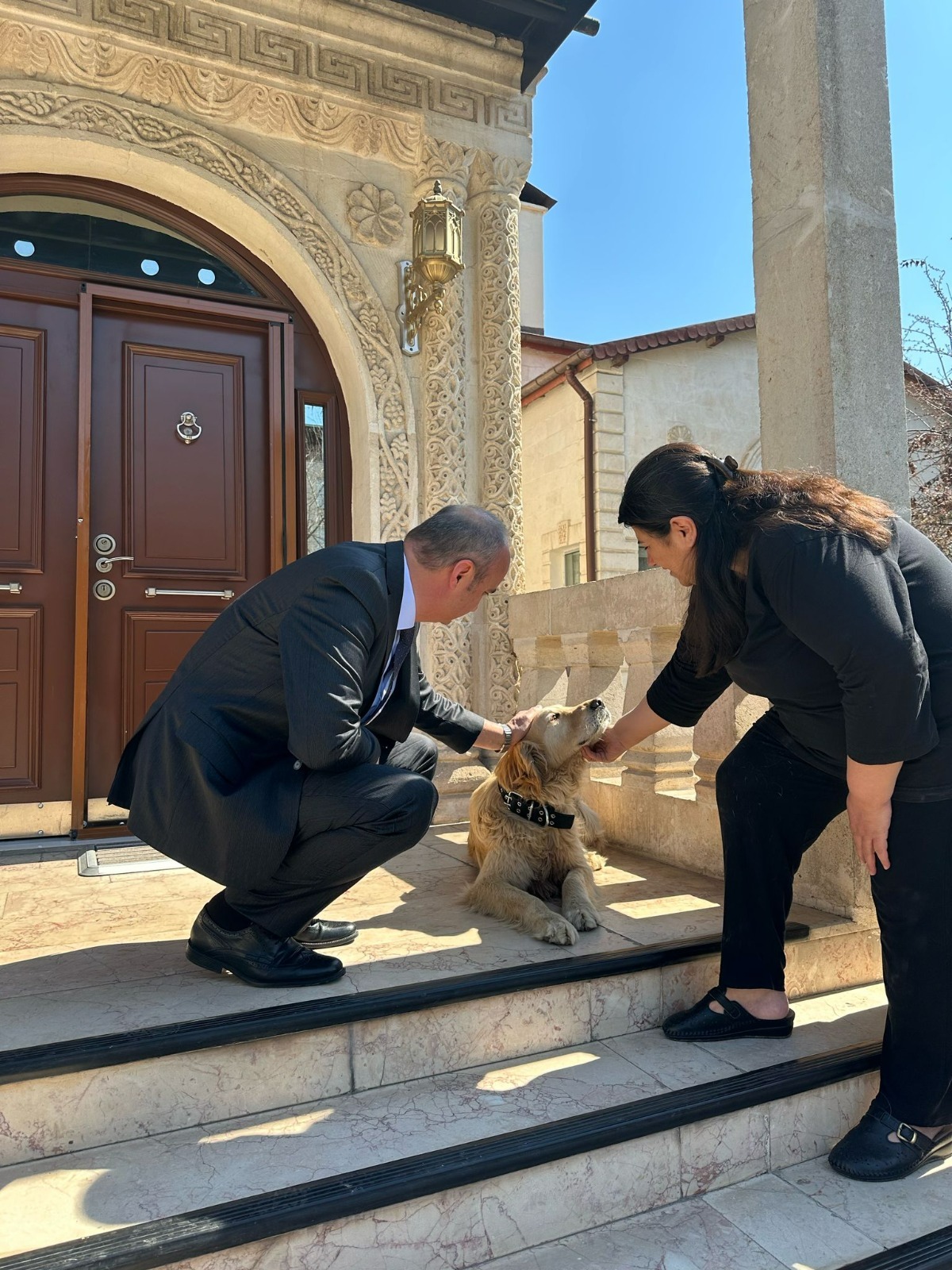 Sokak köpeğini sahiplendiler