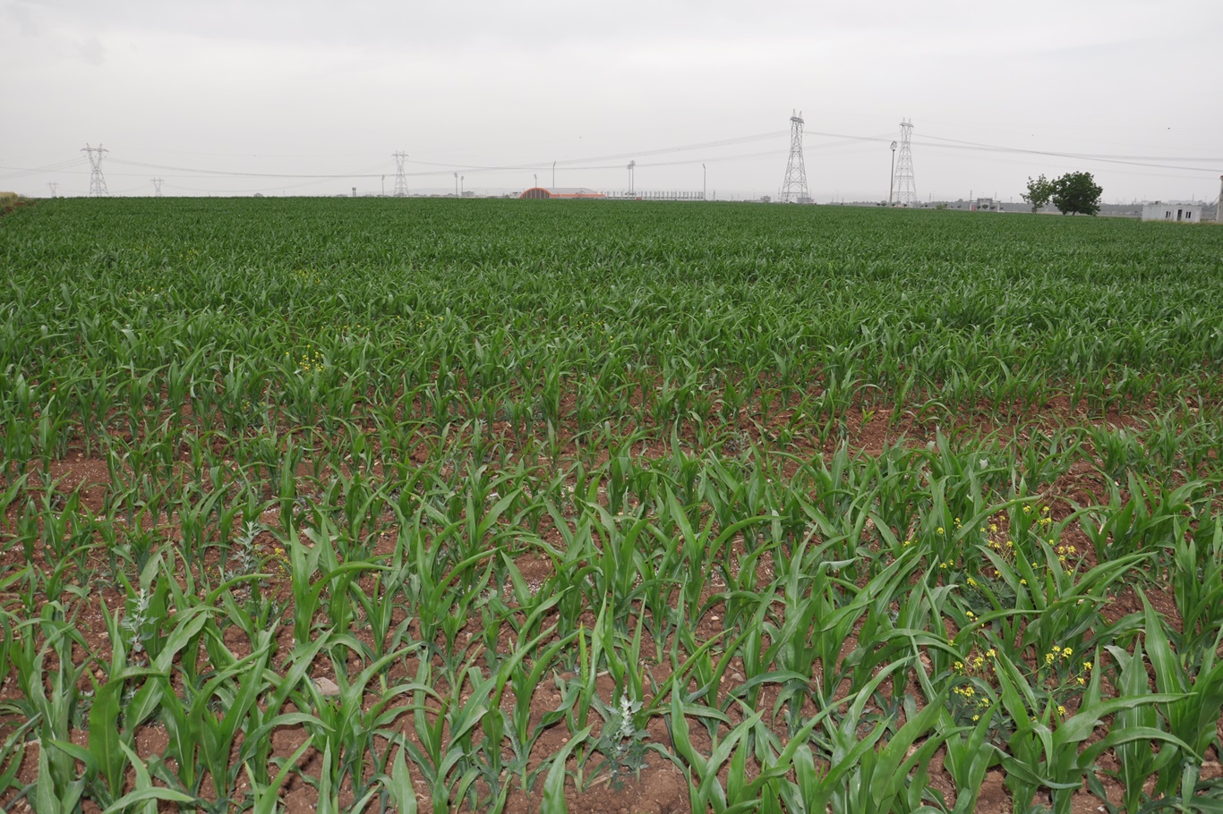 “Artan maliyetler kazanç bırakmıyor”