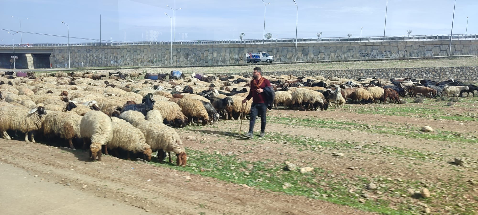 Baharın gelişi yüzlerini güldürüyor