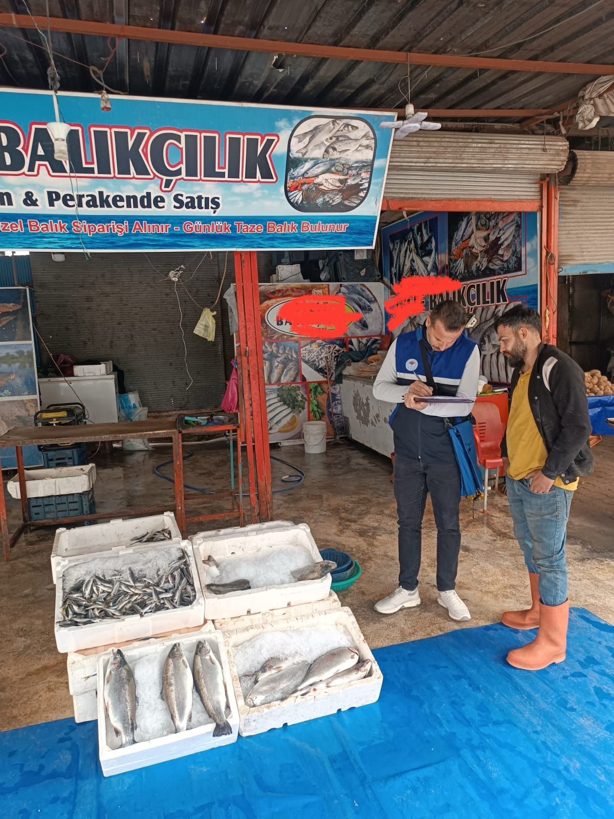 Kaçak balık avcılığına ceza