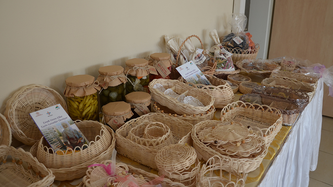 Kooperatiflere hibe desteği