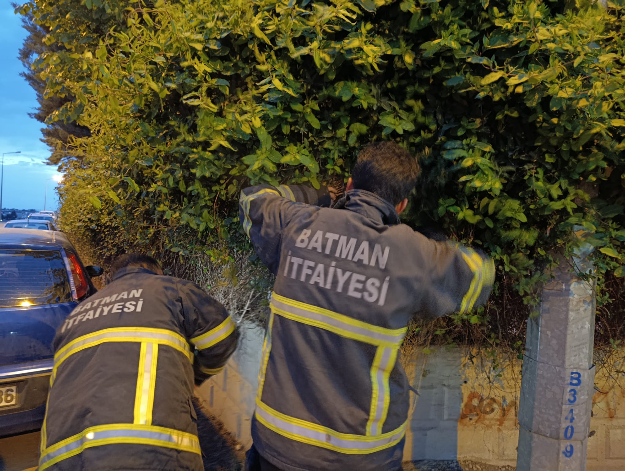 Sıkışan kediyi kurtardılar