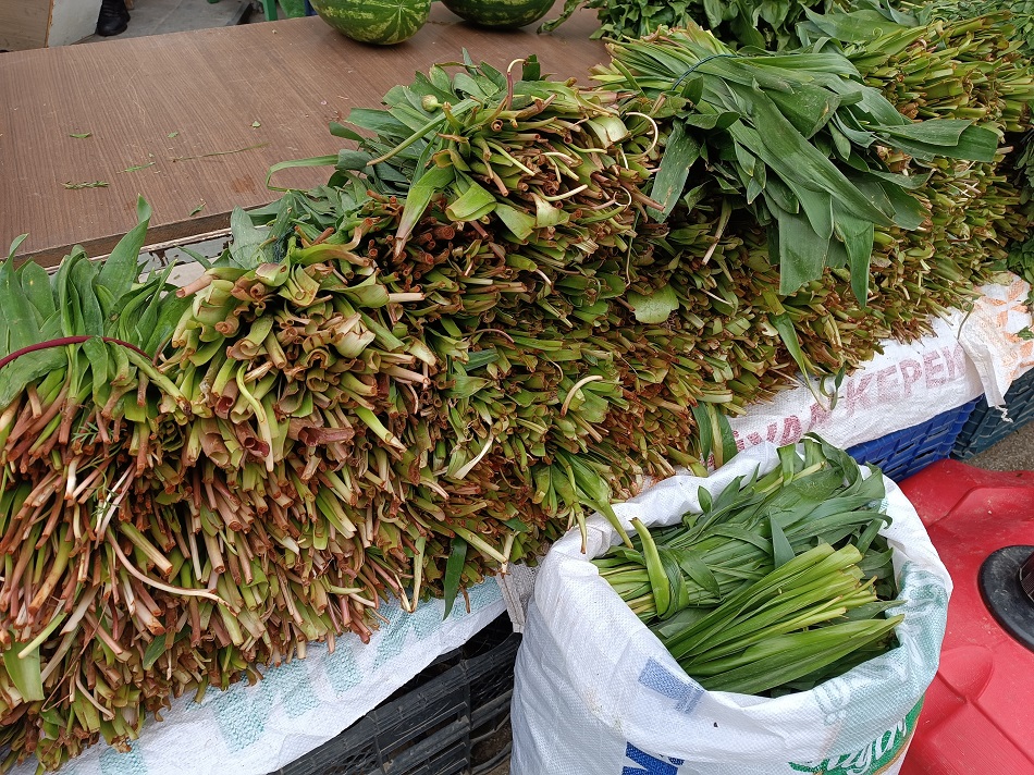 Soryaz, tezgahlarda yerini aldı