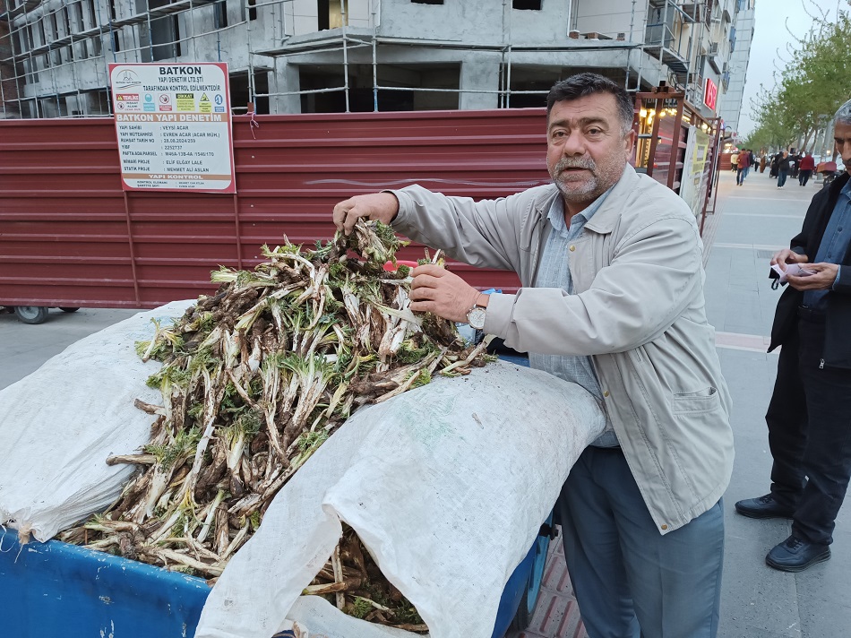 Yeni mahsul kenger tezgahlarda