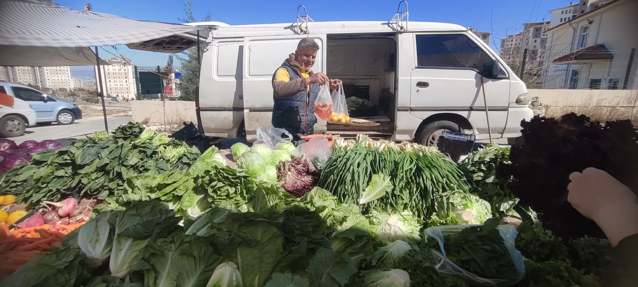 Yeşillik fiyatlarında düşüş