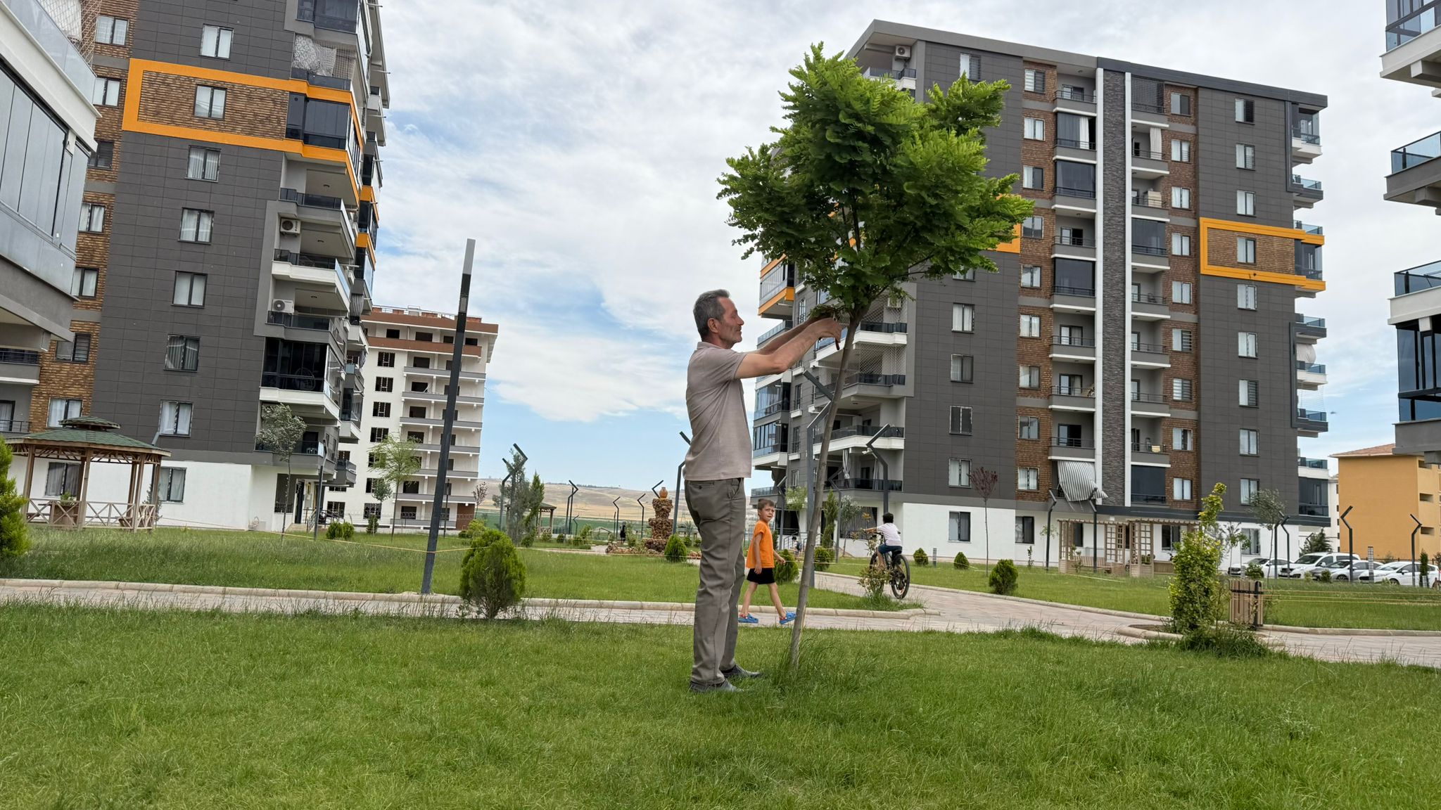 180 Ağaçlık örnek dayanışma