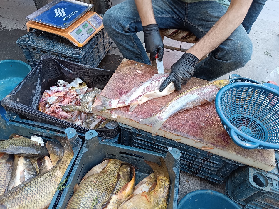 5 Kilo balık 500 lira!