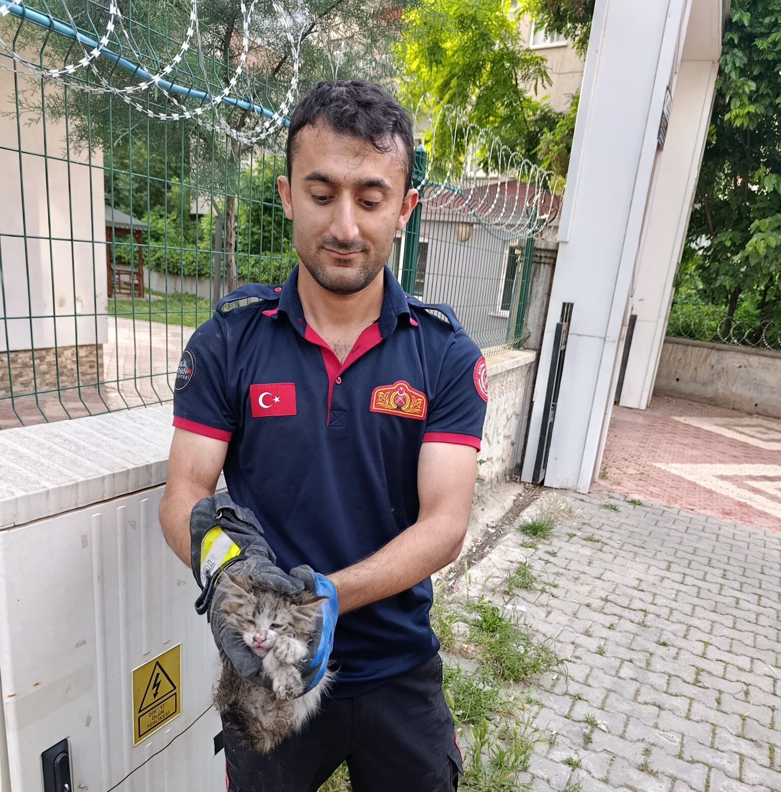 Araca sıkışan kedi kurtarıldı