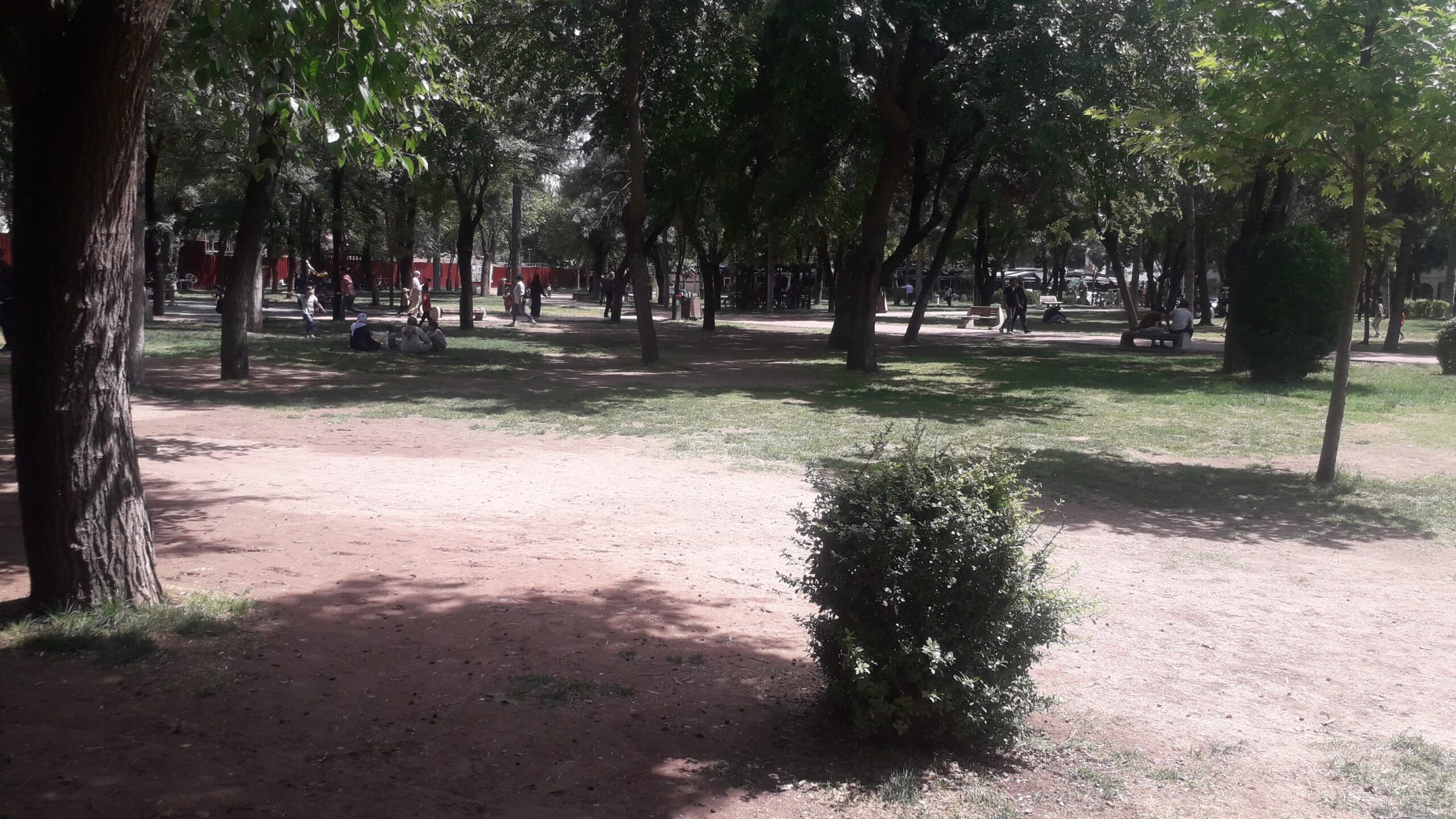 Atatürk Parkı’nda yeşil alarmı