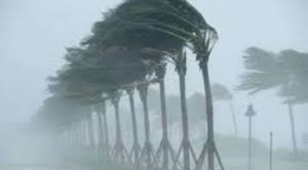 Kuvvetli rüzgar uyarısı