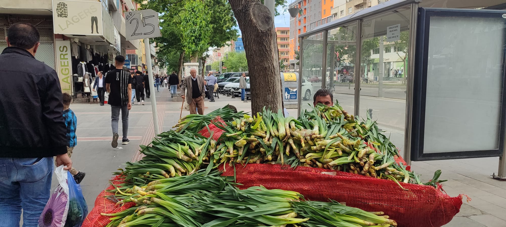 Doğadan gelen şifa