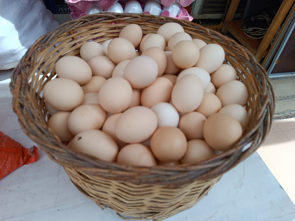 Gezen tavuk yumurtası 10 lira
