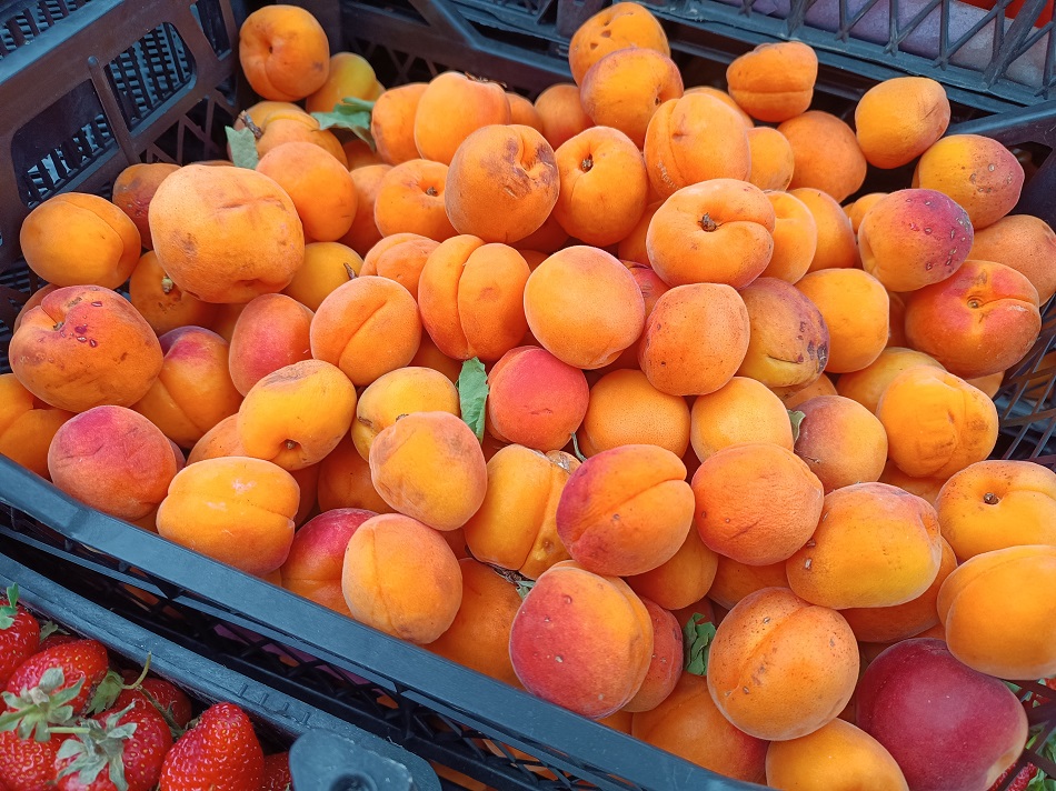 Hatay kayısısı tezgahlarda