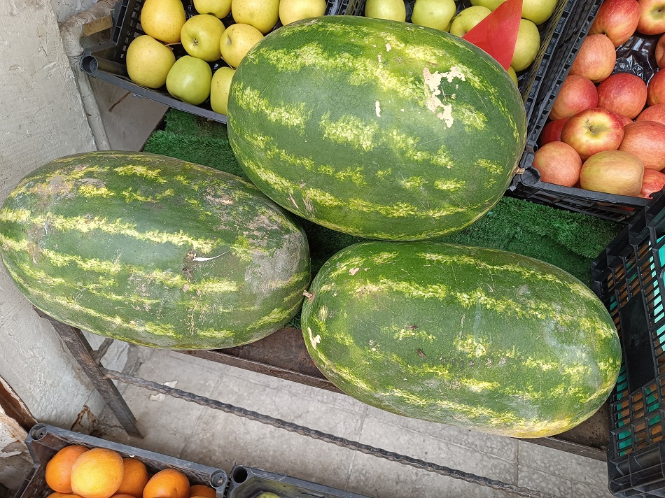İran karpuzu tezgahlarda