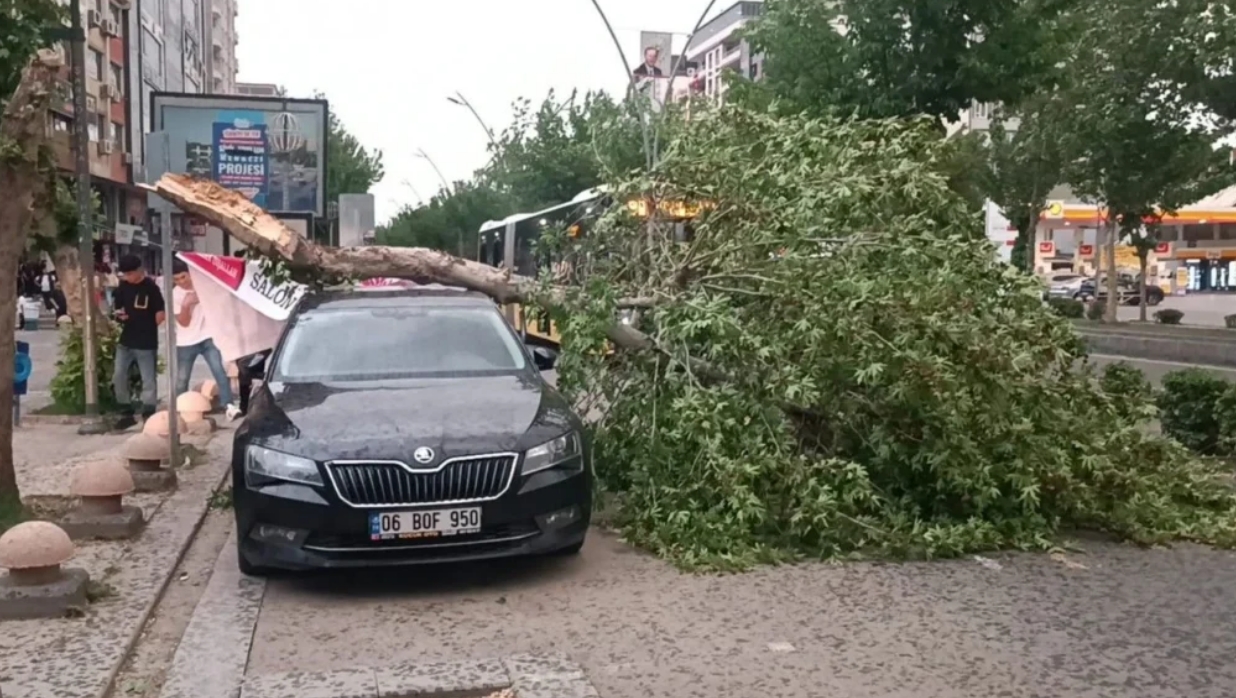 Kuvvetli rüzgar uyarısı