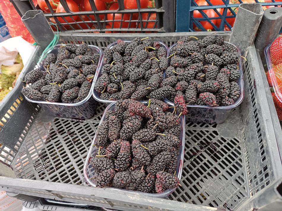 Mersin dutu 150 liradan satışta