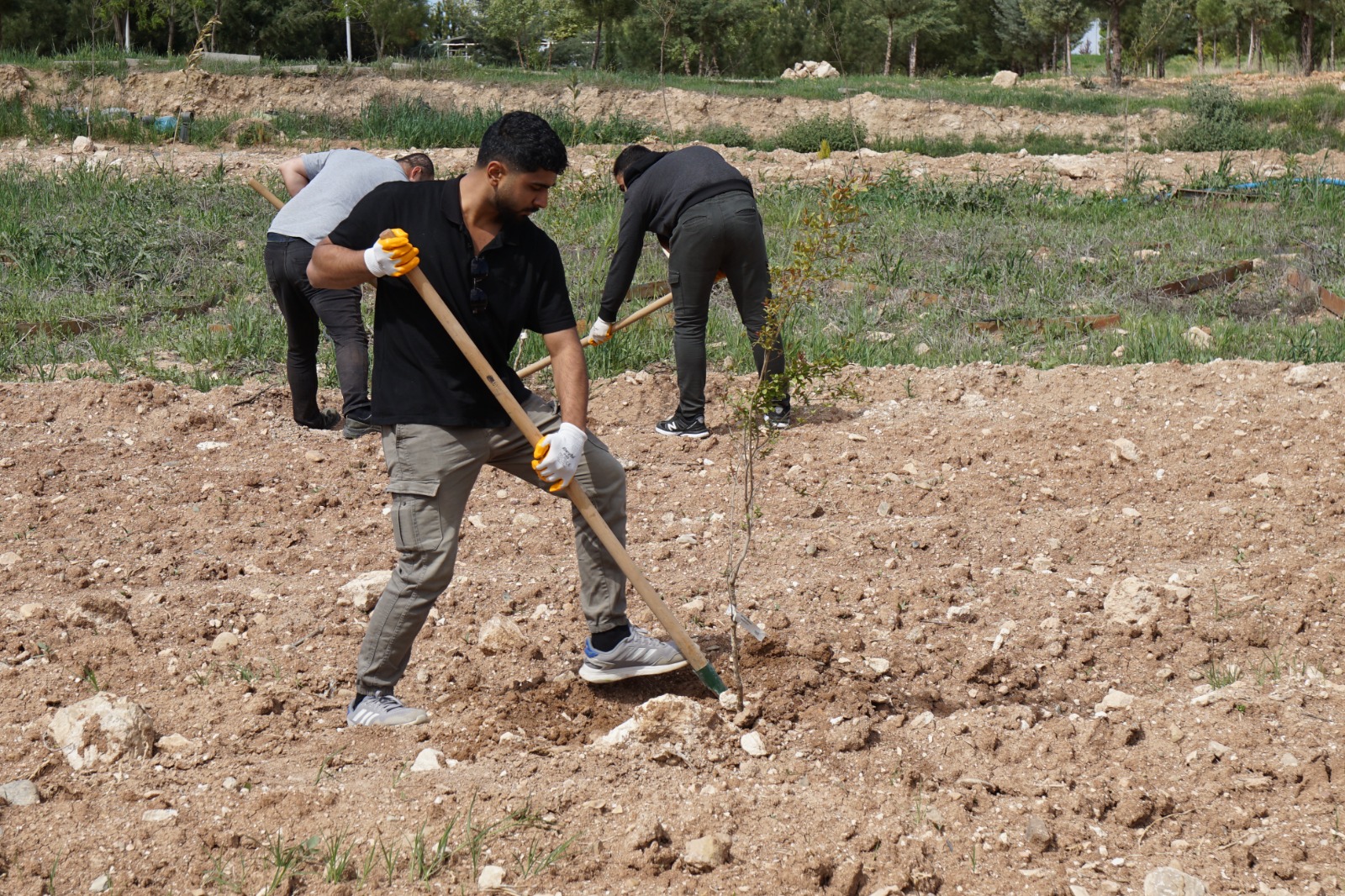 Öğrenciler hem okuyor, hem çalışıyor