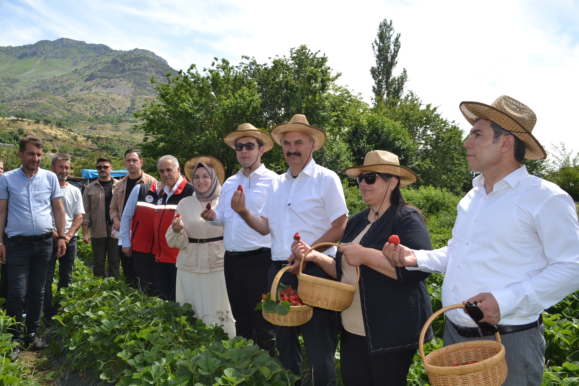 Sason çileği dünya yolunda!