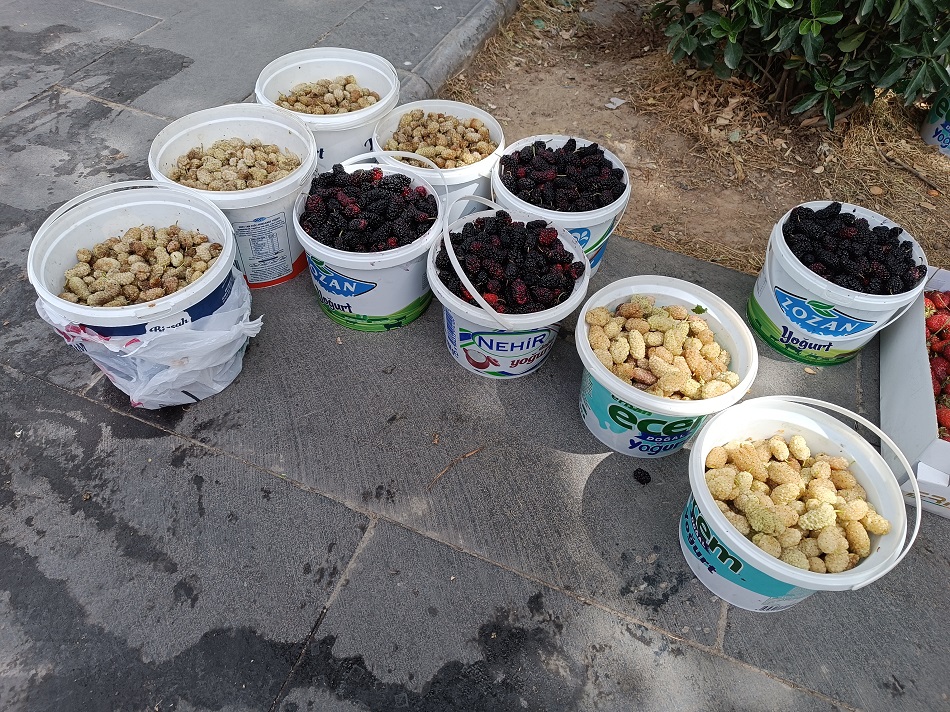 Yerli dut tezgahlarda
