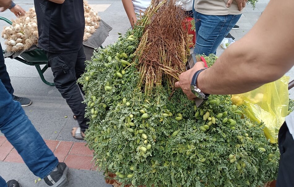Yeşil nohut tezgahlarda yerini aldı