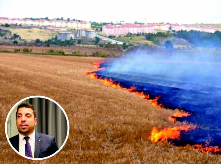 “Anız doğal yaşamı yok ediyor”