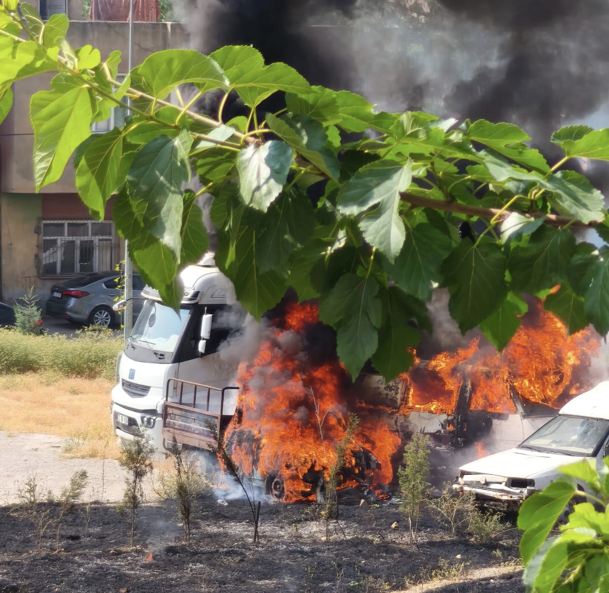 TORPİL FACİASI!