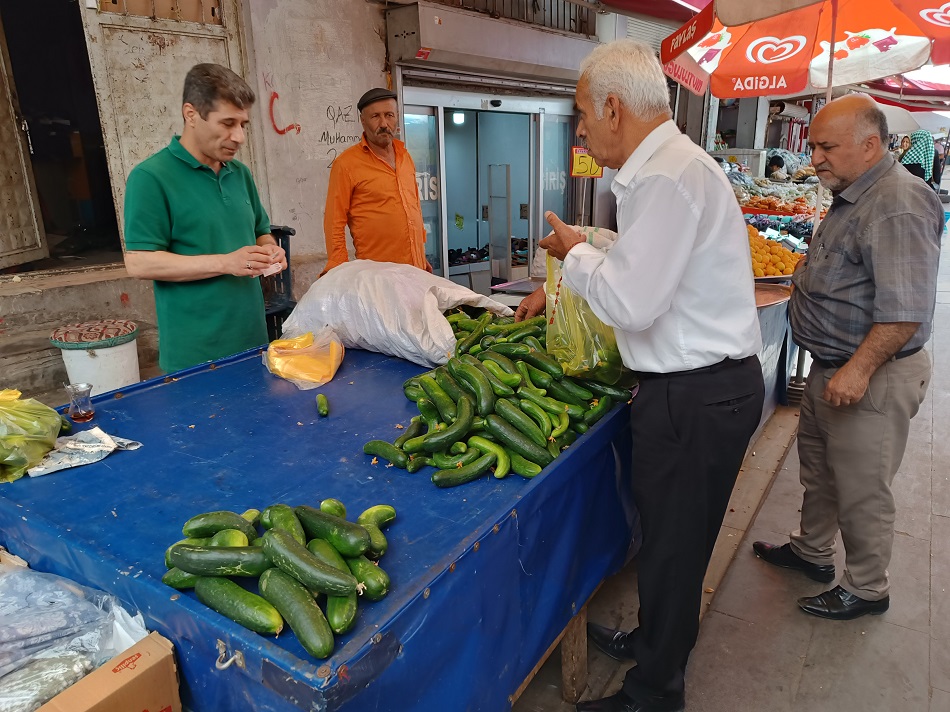 İkiztepe salatalıkları kapış kapış!