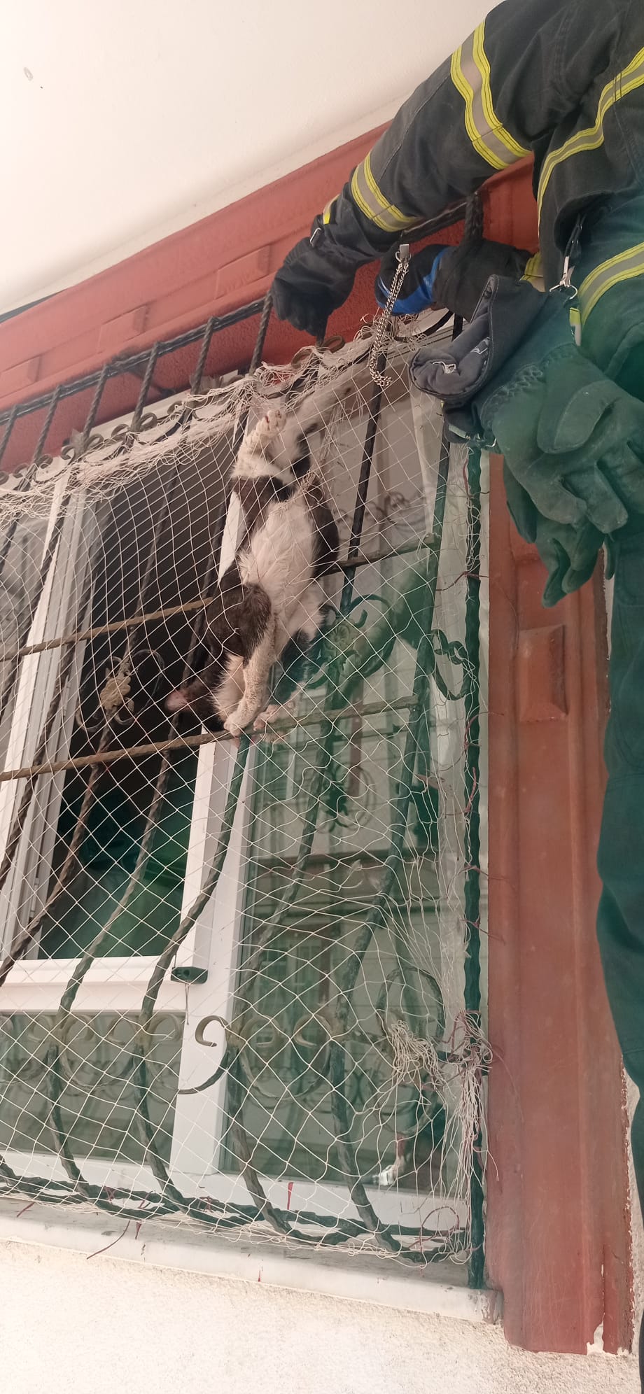 Kedinin imdadına itfaiye yetişti