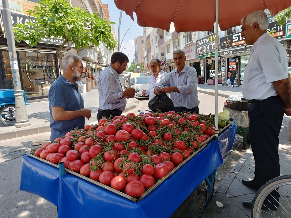 Sera domatesine yoğun ilgi