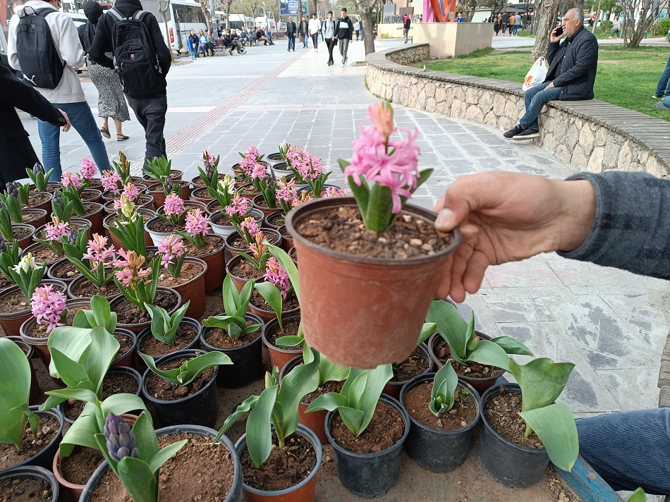 Seyyar tablada hayat buldu