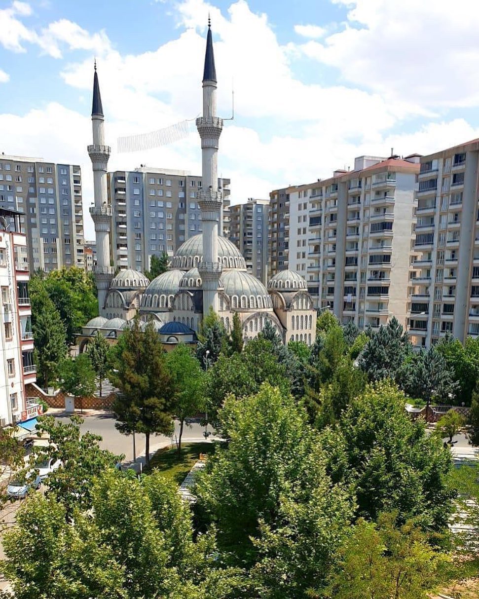 “Yeşil kıyımına sessiz kalmayacağız”