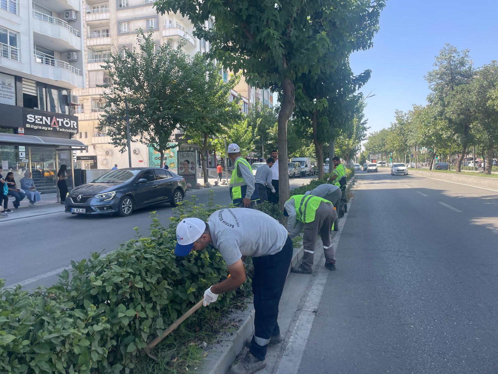 Ana arterlerde kuru ot temizliği