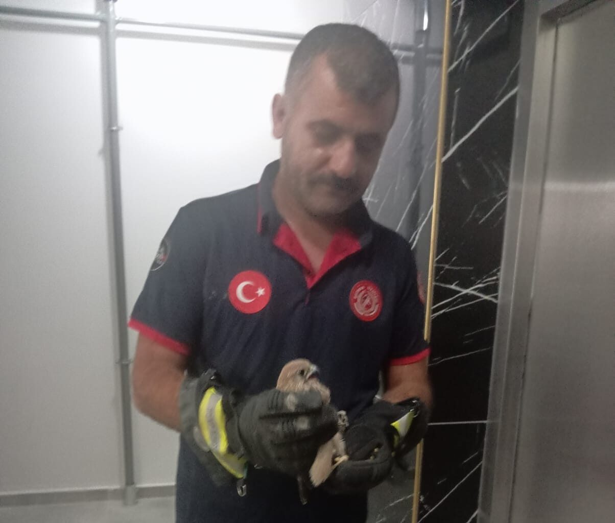 Balkon korkuluğundan kurtarıldı