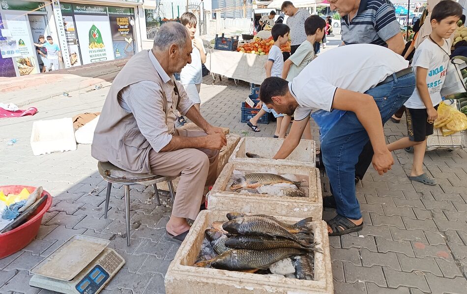Baraj balıkları pazar tezgahında