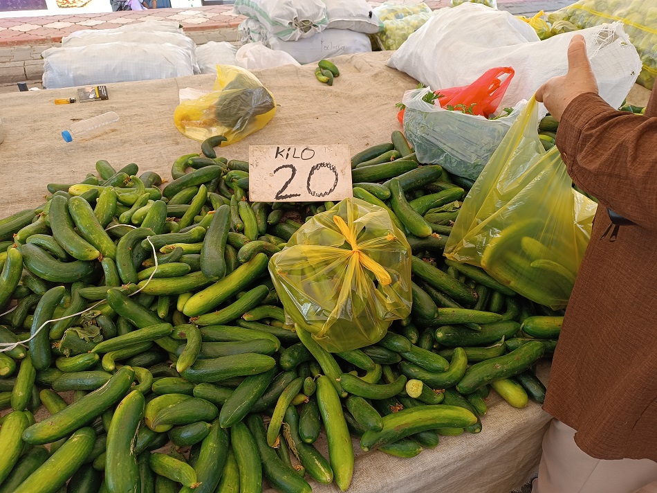 Bingöl’den sera salatalığı
