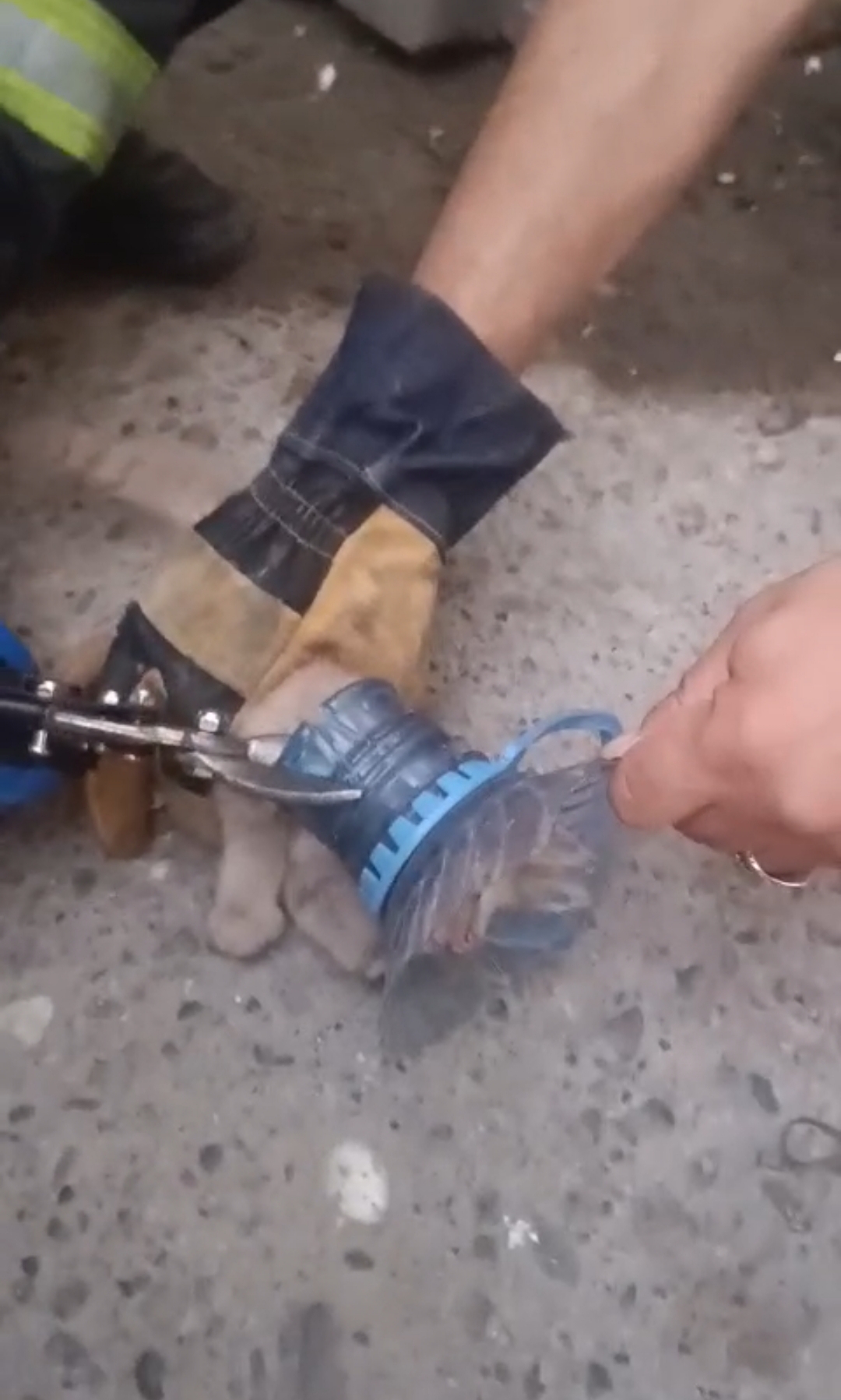 Damacanaya kafası sıkıştı