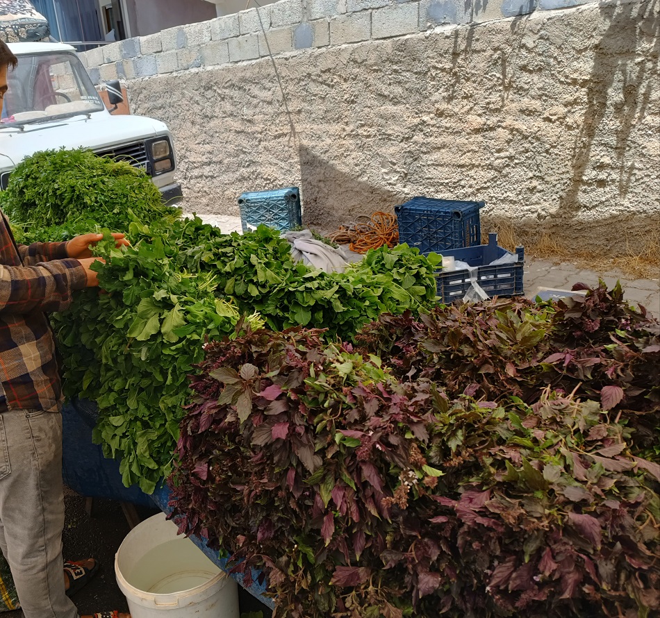 Demeti 5 liraya düştü