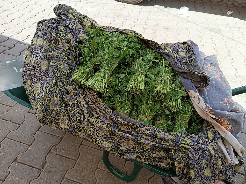 Fiyatı 5 liraya geriledi