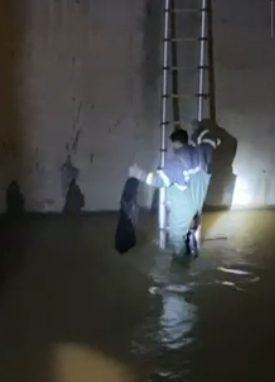 Kanala düşen kediler kurtarıldı