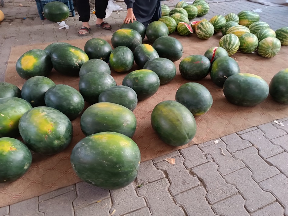 Kilosu değil, tanesi 50 lira
