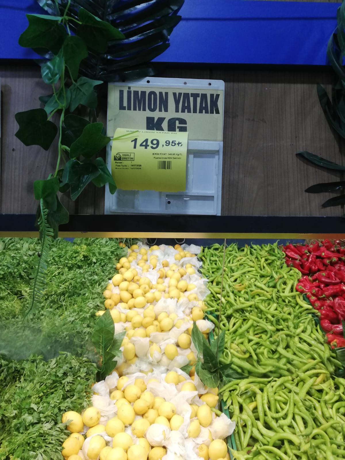 Limonda yeni zirve: 150 TL