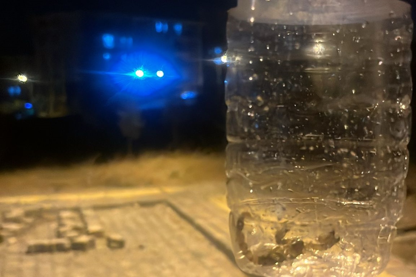 Mahalleyi akrepler sardı!