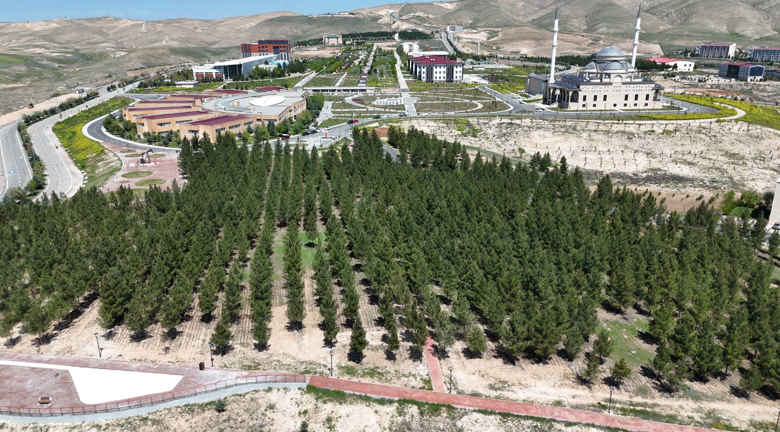 Necat Nasıroğlu hatıra ormanı açılışa hazır