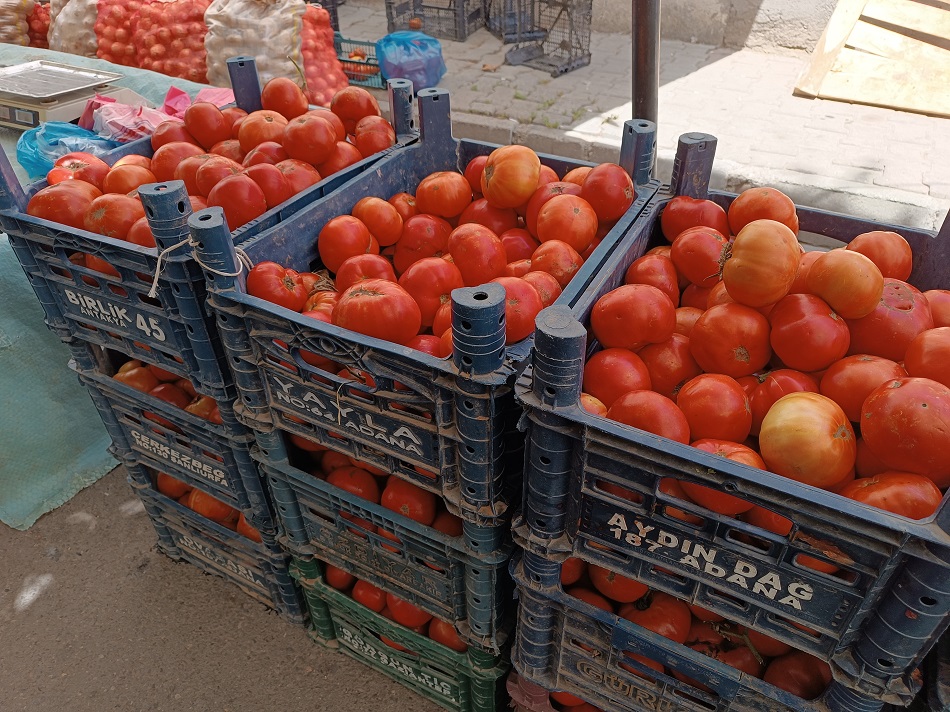 Pazarda yerli domates bereketi