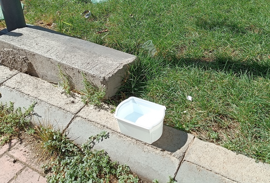 Sokak hayvanlarını unutmuyorlar
